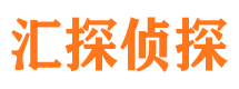 阿合奇市调查公司